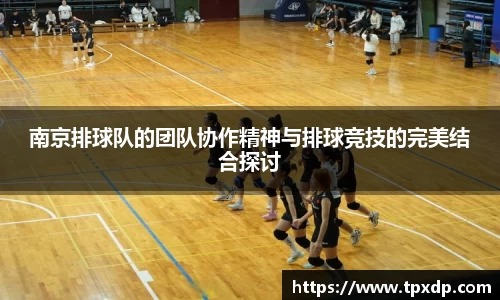 南京排球队的团队协作精神与排球竞技的完美结合探讨