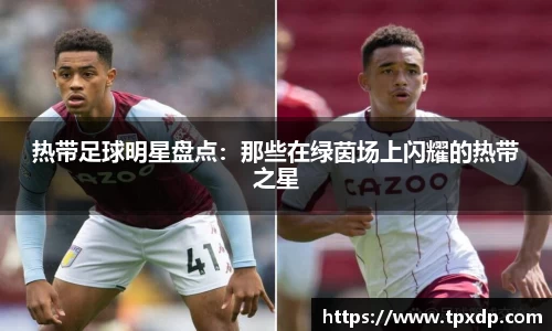 热带足球明星盘点：那些在绿茵场上闪耀的热带之星